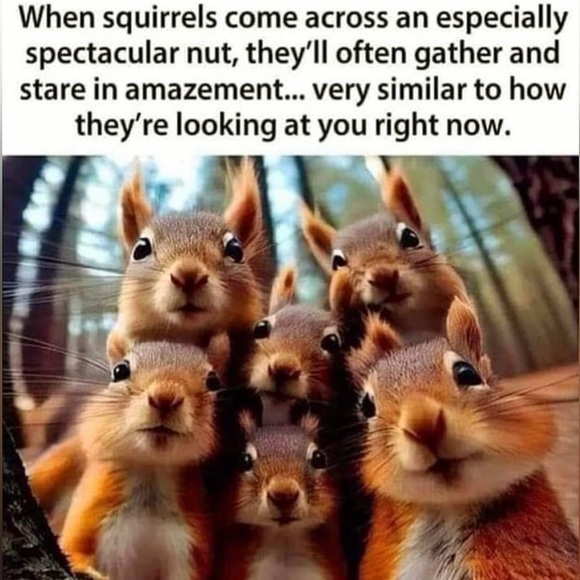 Meet your Posher, Angela - Picture 7 of 16